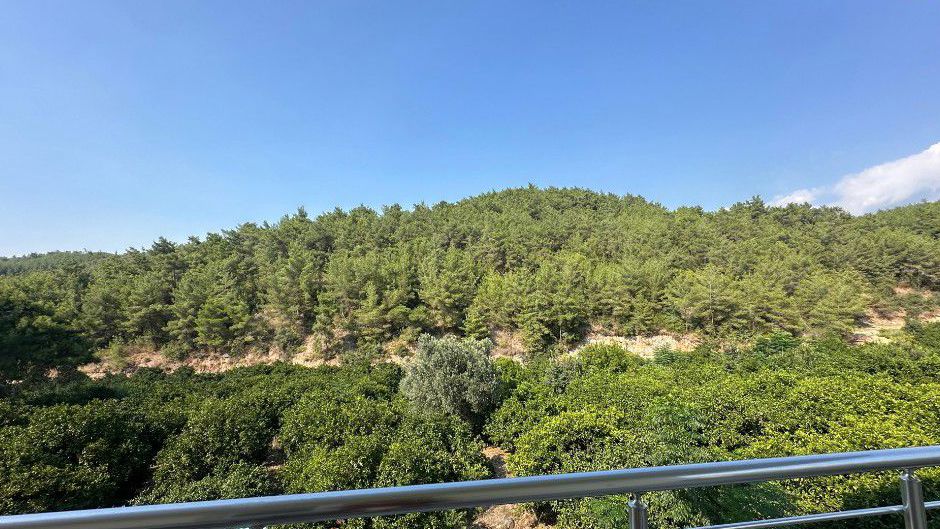Zümrüt Pansiyon Balkon - Balkondan Manzara